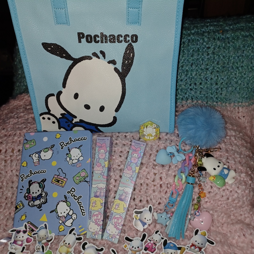 Pochacco's Perfect Package